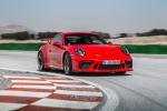 Porsche 911 GT3 2017 года (WW)